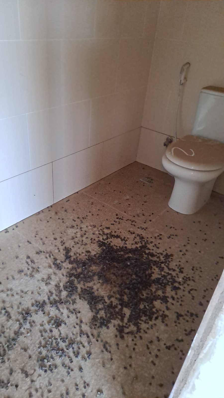 Bathroom – before cleaning – CleanPro Profession Cleaning & Fumigation Dar es Salaam