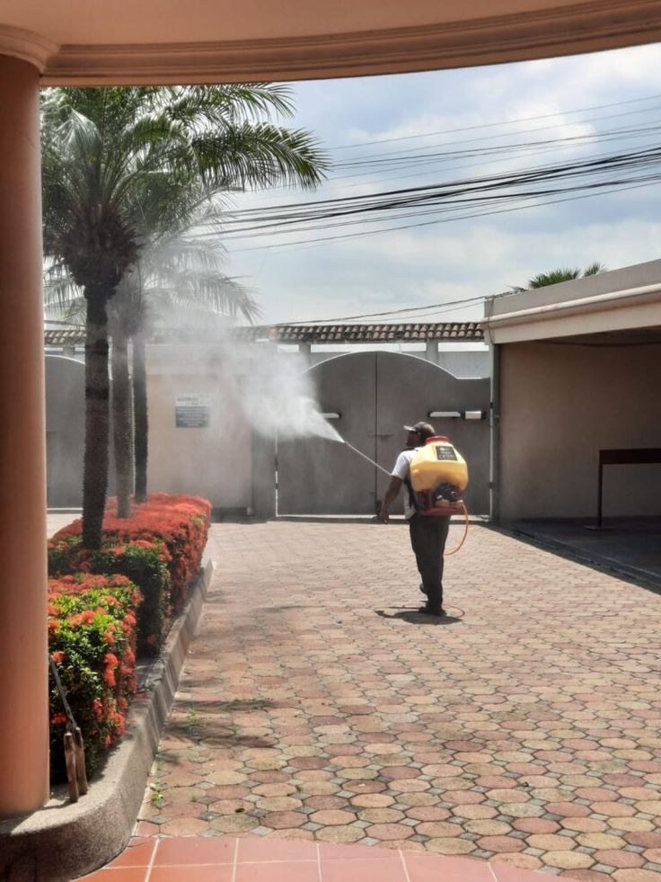 Fumigation and pest control spraying