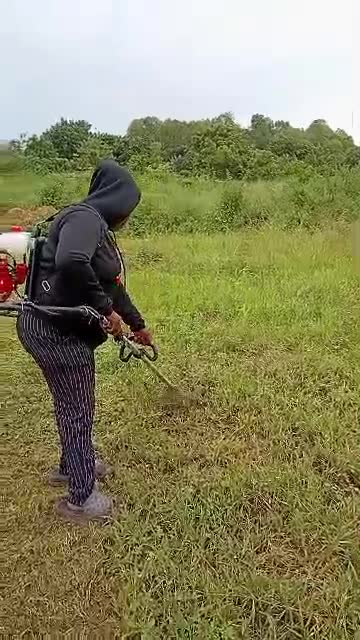 Garden spraying & maintenance – video thumbnail