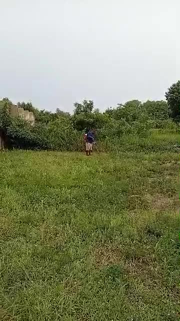 Outdoor grass maintenance – video thumbnail