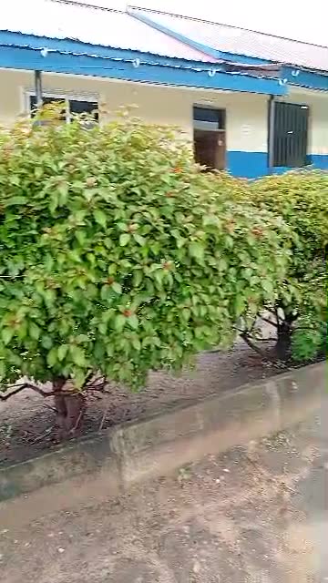 School compound cleaning – video thumbnail